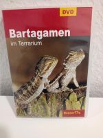 Bartagamen, DVD Niedersachsen - Ihlow Vorschau