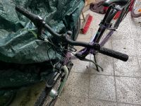 Jugendfahrrad Hercules Pippa R7 - 2023 - 26 Zoll - Tiefeinsteiger Brandenburg - Brandenburg an der Havel Vorschau