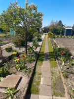 Garten  zu verkaufen Mecklenburg-Vorpommern - Pasewalk Vorschau