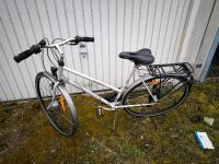 Peugeot Damenrad Fahrrad Hessen - Körle Vorschau