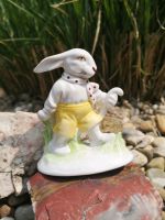 Sitzendorfer Porzellanfigur Kaninchen Hase Ostern alt selten Porz Niedersachsen - Barnstorf Vorschau
