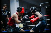 Sparringspartner Trainingspartner Boxen Kickboxen MMA Bayern - Soyen Vorschau