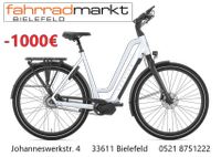 Gazelle Chamonix C5 HMS Belt RH53cm E-Bike 5-Gang Nexus Riemen Bielefeld - Schildesche Vorschau