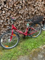 BBF Fahrrad kinderrad Kinderfahrrad 24“ Brandenburg - Bad Saarow Vorschau