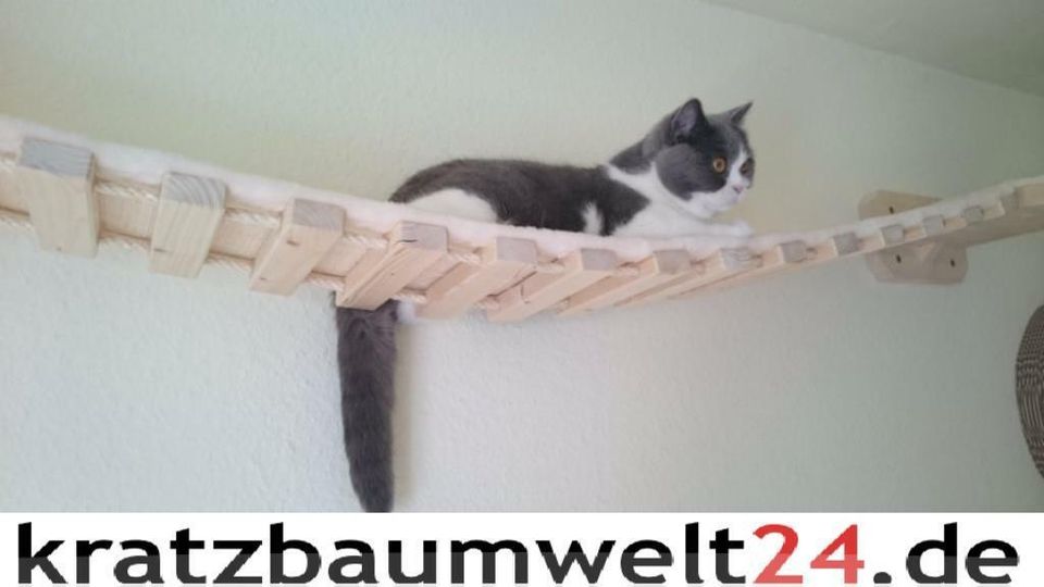 Catwalk Hängebrücke mit Laufsteg, Wandkratzbaum,Kratzbaum stabil in Bamberg