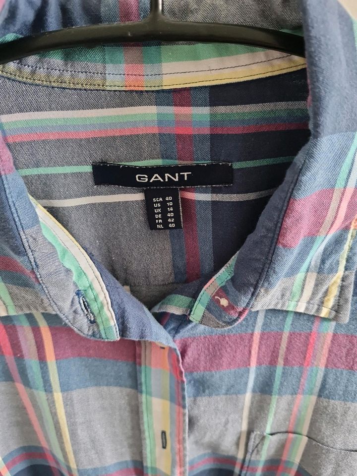 Bluse Gant in Burgkirchen