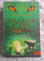 Warrior Cats Buch Blausterns Prophezeiung Niedersachsen - Tostedt Vorschau