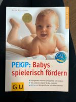 Inkl. Versand! Pekip Babys spielerisch fördern Anne Pulkkinen Neuhausen-Nymphenburg - Nymphenburg Vorschau