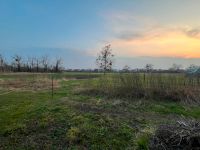 Traumgrundstück in Brieselang Süd für Ein oder Mehrfamilienhaus Brandenburg - Brieselang Vorschau