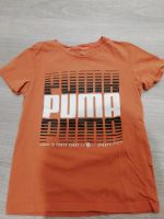 Buben T-Shirt, 9-10 Jahre, Puma Bayern - Kümmersbruck Vorschau