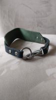 Hundehalsband Leder Nordrhein-Westfalen - Waltrop Vorschau