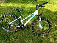 26 zoll Pegasus Fahrrad. 21 Gänge. 38 size nabendinamo Baden-Württemberg - Freiburg im Breisgau Vorschau