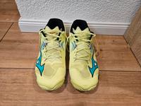 Mizuno Wave Lightning Z8 Volleyball Handball Schuhe Gr 47 UK 12 Sachsen-Anhalt - Raguhn Vorschau