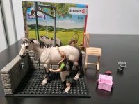 Schleich Horse Club 42104 Pferde Waschplatz Sachsen - Freiberg Vorschau