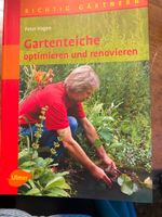 Gartenteich anlegen optimieren renovieren Baden-Württemberg - Wüstenrot Vorschau