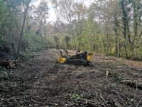 Forstmulchen, Grundstücksrodung und Verwilderte Grundstücke Baden-Württemberg - Bad Wimpfen Vorschau