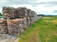 Brennholz Buche Baden-Württemberg - Sigmaringen Vorschau