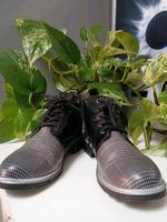 Damen Schuhe/Stiefeletten/Schnürer (schwarz /weiß) Mustang Thüringen - Arnstadt Vorschau