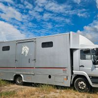 Pferdetransporter Sachsen-Anhalt - Haldensleben Vorschau