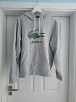 Lacoste Pullover XL! Mecklenburg-Vorpommern - Pasewalk Vorschau