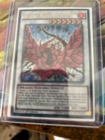 YuGiOh Black Rose Dragon Rheinland-Pfalz - Hauenstein Vorschau