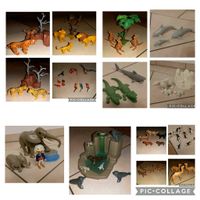 Playmobil Tiere Nordrhein-Westfalen - Viersen Vorschau