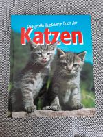 Katzenbuch Katzenliteratur Dresden - Schönfeld-Weißig Vorschau