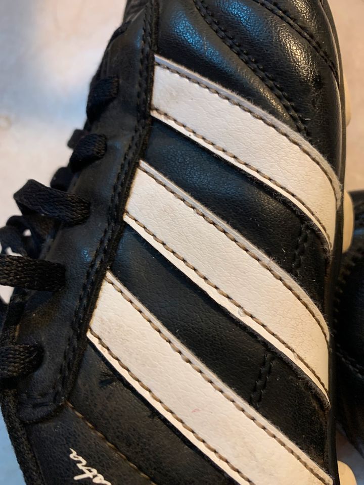 Fußballschuhe Adidas adi Questra Gr. 38 in Delbrück