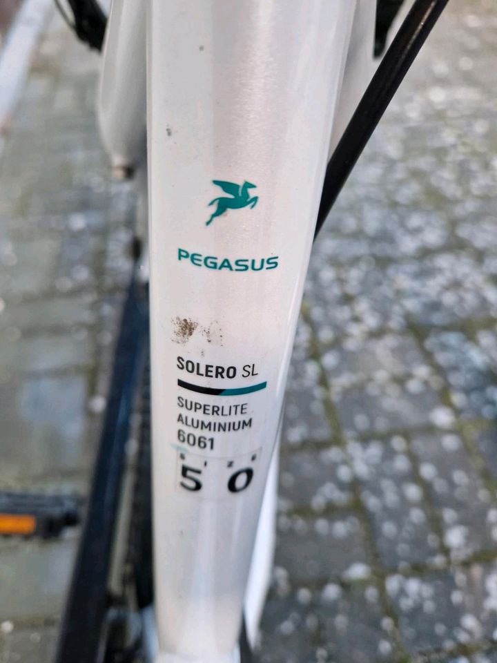 Damenfahrrad von Pegasus neuwertig in Wolfsburg