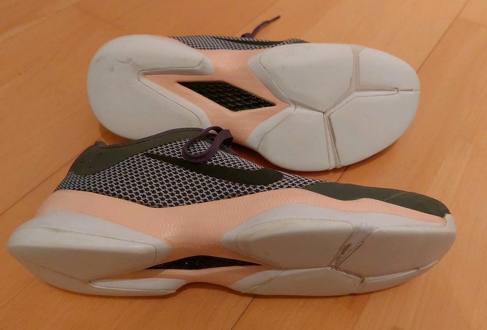 Nike Tennisschuhe Gr. 40 für Teppichbeläge in Neuberg