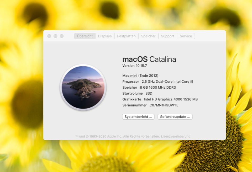 Apple Mac Mini 6.1 mit 8GB Speicher, 256 GB SSD & 1TB HD in Sankt Augustin