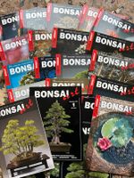 23 Bonsai Art Magazine / Zeitschriften - Sammlerhefte München - Bogenhausen Vorschau
