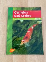 Garnelen und Krebse im Aquarium Brandenburg - Kolkwitz Vorschau