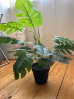 Fake Monstera Koblenz - Moselweiß Vorschau