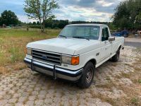 Ford F-150 5.0 Efi 2WD Longbed super Blech Nordrhein-Westfalen - Soest Vorschau