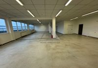 Kernsanierte Lager- bzw. Produktionshalle 250m² mit Lastenaufzug Hamburg-Mitte - Hamburg Hammerbrook Vorschau