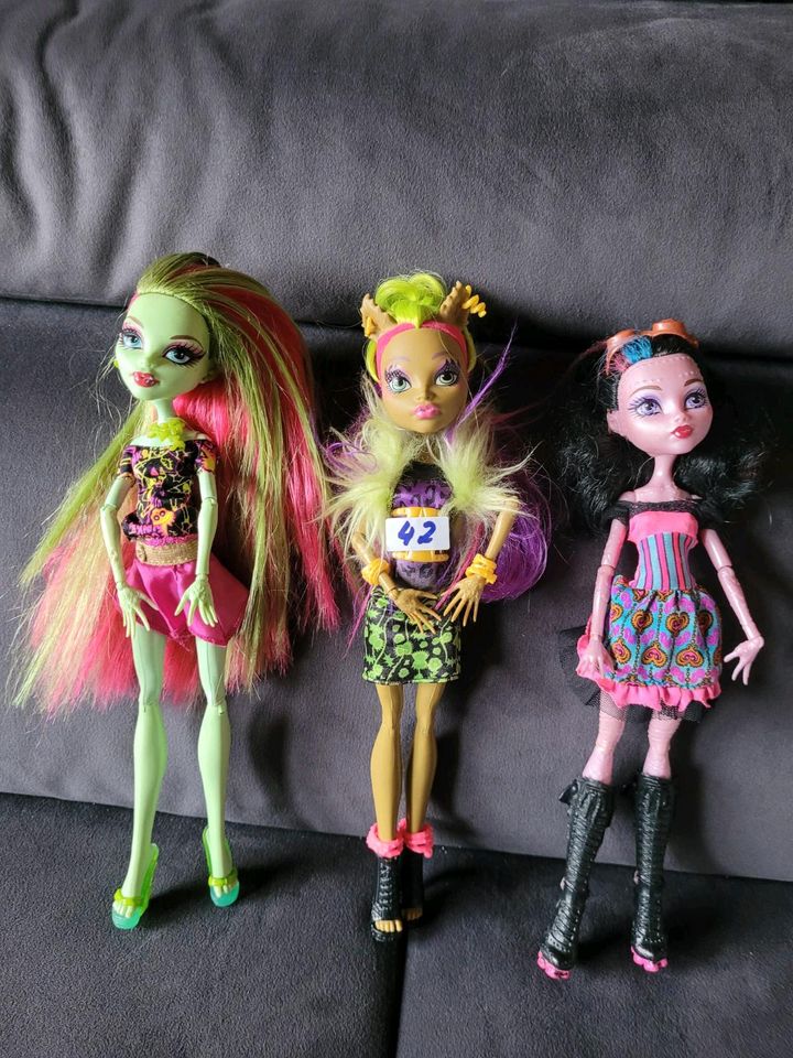 Monster High Puppen Nr 7 in Würzburg