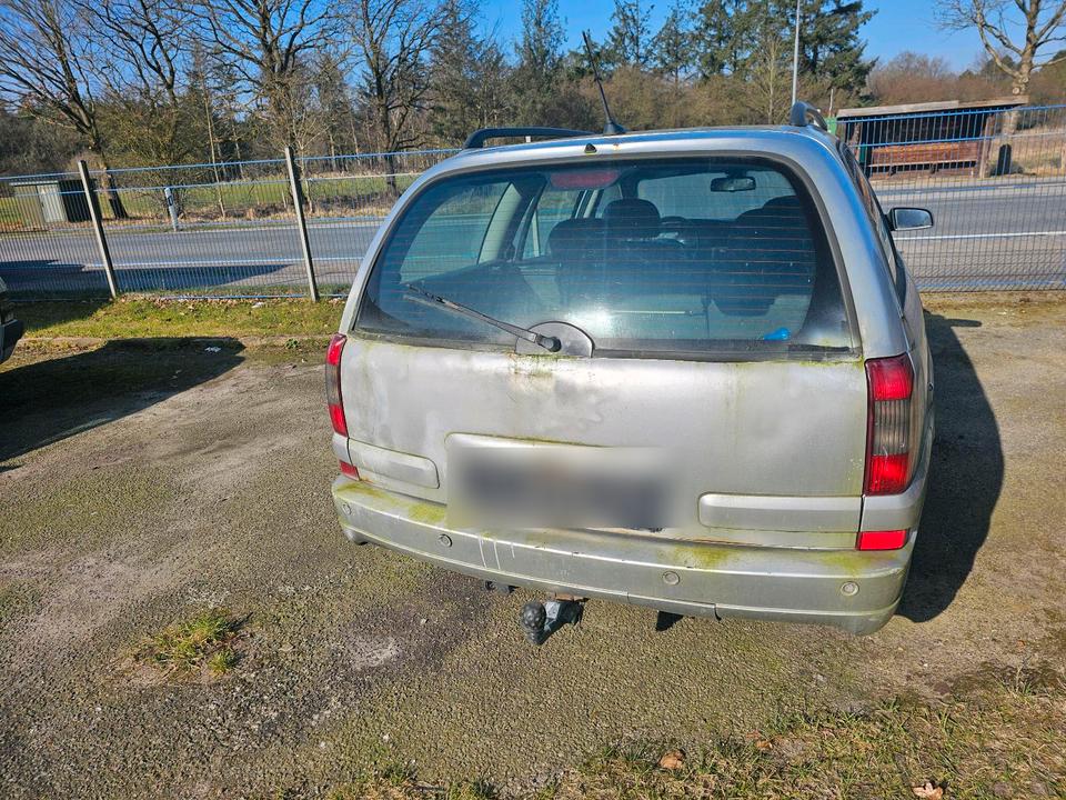Opel Omega B Diesel  2,5 DTI  kein TÜV Leder voll fahrbereit in Wallsbüll