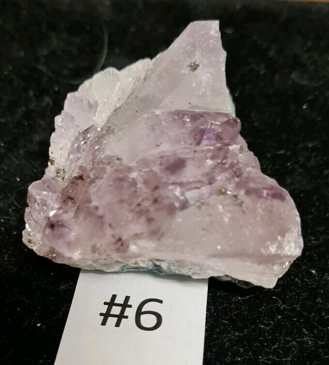 Amethyst Sammlung mit 6 Edelstein Drusen im Holzkästchen in Dresden