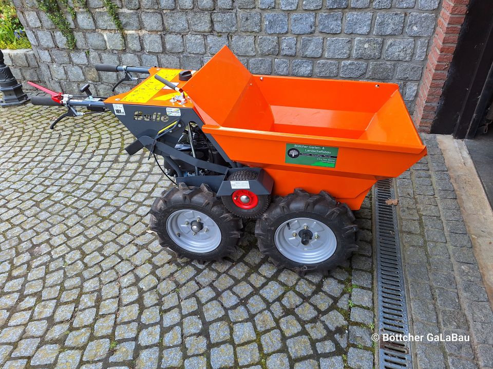 Belle BMD 300 Minidumper Dumper Muck Truck Miete + Bedienung in Hamburg