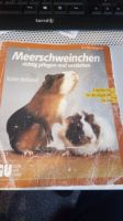 Sachbuch Meerschweinchen Niedersachsen - Velpke Vorschau