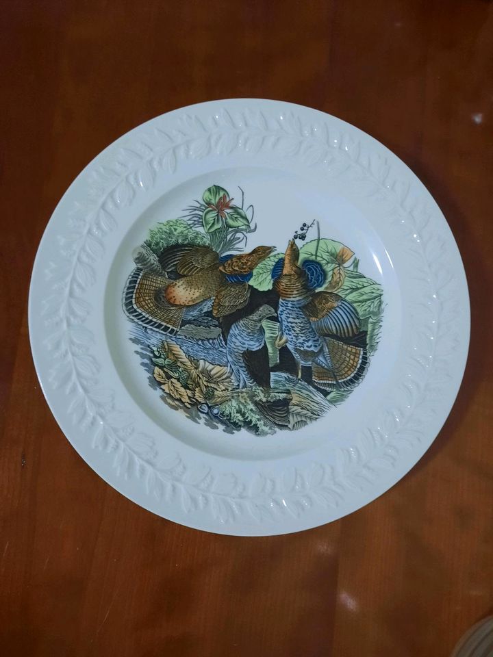 Teller John James Audubon Porzellanteller Sammelteller Truthahn in Herzebrock-Clarholz