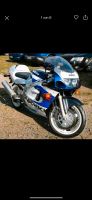 Suzuki GSXR 600 S RAD top Zustand EZ1999 BJ1996 Sachsen-Anhalt - Königsborn (Magdeburg) Vorschau