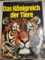 Das Königreich der Tiere Buch TOP ❤️ Hamburg - Altona Vorschau