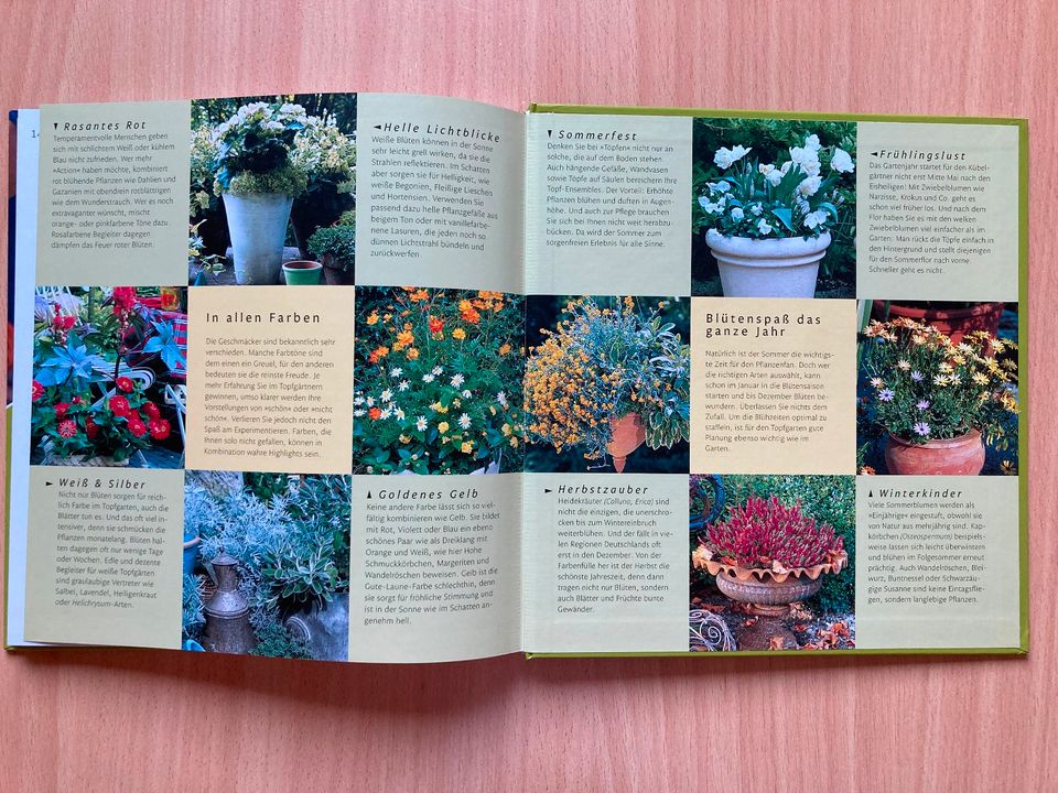 Der Garten im Topf [ Gebundene Ausgabe ] in Schefflenz