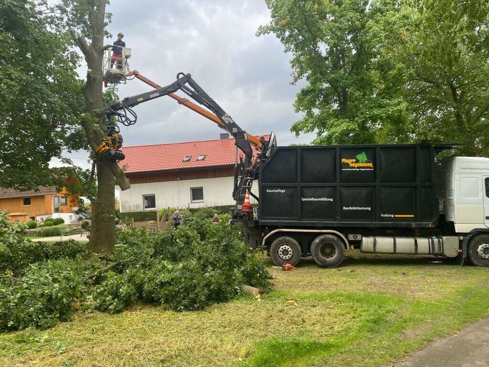 Forstwirt/Baumpfleger gesucht in Horn-Bad Meinberg