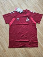 Hummel 1. FC Köln Travel T-shirt Shirt Baumwolle rot Gr. 152 Bayern - Ensdorf Vorschau