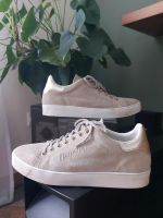 Quasi neu: Napapijri Sneaker beige Veloursleder Gold echtes Leder Nordrhein-Westfalen - Uedem Vorschau