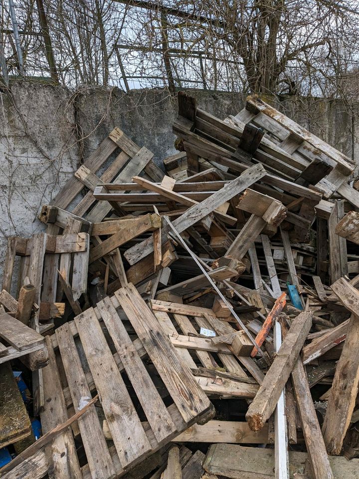 Holz zu verschenken in Ellrich