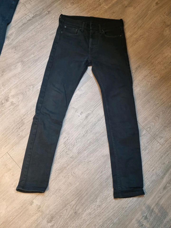 Jeans in verschiedenen Marken in Flörsheim am Main